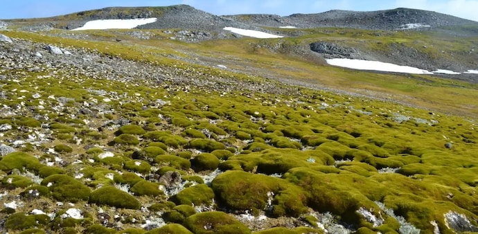 Temperatures on the peninsula have risen by almost 3°C since 1950, which is a much bigger increase than observed across most parts of the planet. Temperatures on the peninsula have risen by almost 3°C since 1950, which is a much bigger increase than observed across most parts of the planet.