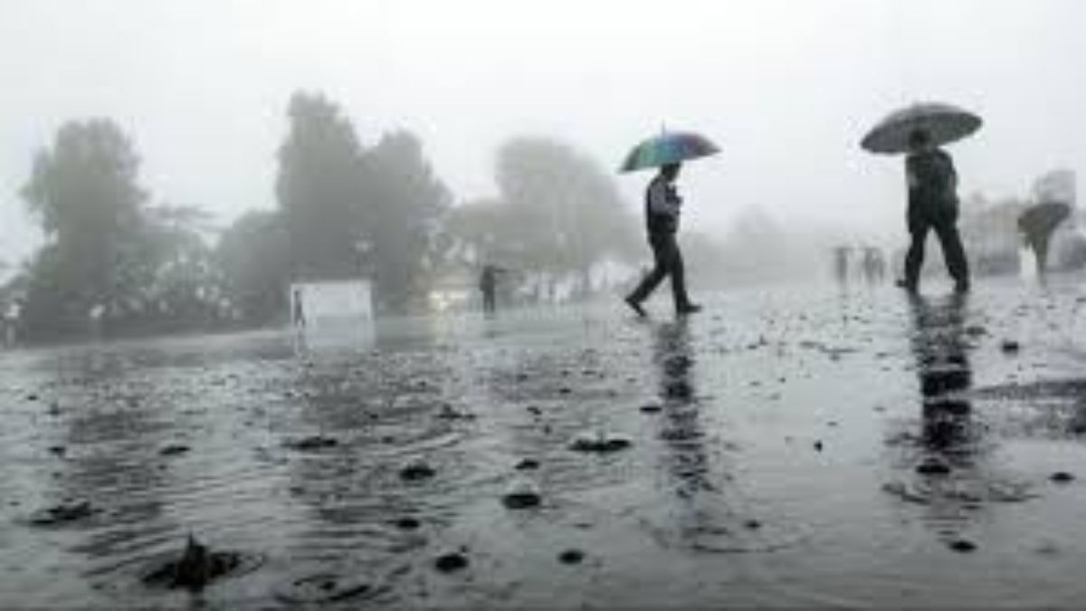 Kerala: Heavy rain triggers flood-like conditions in Wayanad, echoes of recent landslides Kerala: Heavy rain triggers flood-like conditions in Wayanad, echoes of recent landslides