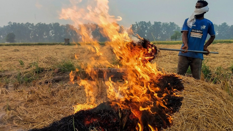 A farmer burns straw stubble after harvest in Punjab's Amritsar. (Photo: PTI_) A farmer burns straw stubble after harvest in Punjab's Amritsar. (Photo: PTI_)