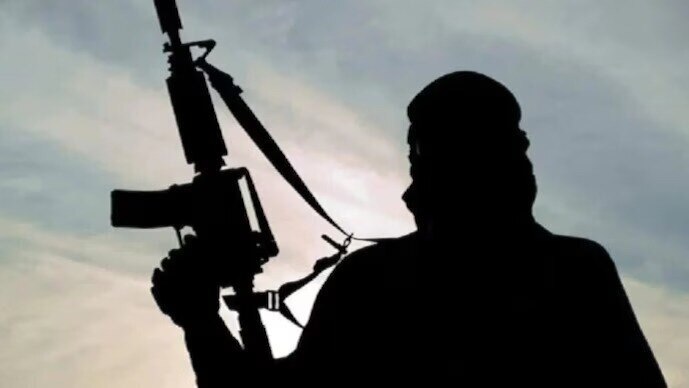 'Now airing nature videos': Taliban bans broadcasting images of any living beings in new restrictions on media