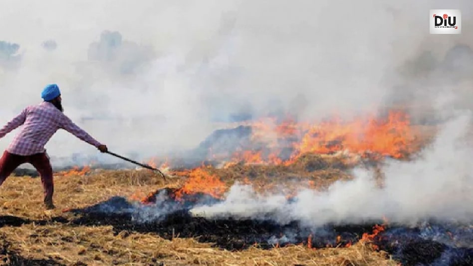 'FIRs to be filed against farmers who...': Haryana govt implements strict measures against stubble burning 'FIRs to be filed against farmers who...': Haryana govt implements strict measures against stubble burning