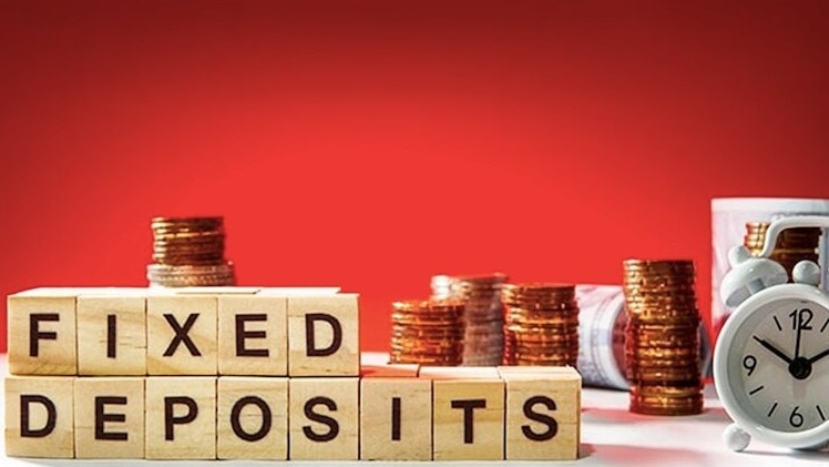 Festive season investment: FD schemes senior citizens can consider for good returns