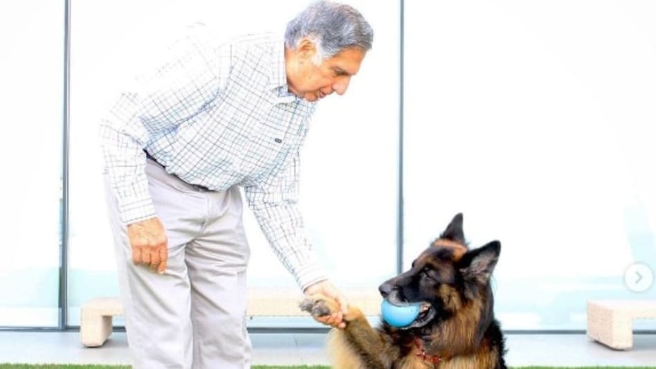 Tata’s love for animals went beyond personal sentiment; it fueled his last major project—the Small Animal Hospital of Mumbai (SAHM). Tata’s love for animals went beyond personal sentiment; it fueled his last major project—the Small Animal Hospital of Mumbai (SAHM).