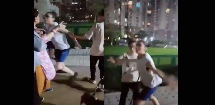 2 women try hit an elderly couple in a Noida apartment over dispute on dog walking 2 women try hit an elderly couple in a Noida apartment over dispute on dog walking