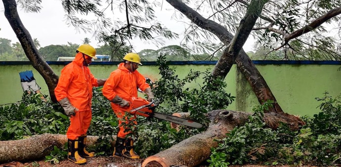 Severe cyclonic storm Dana struck the coastal areas of the state on October 25 triggering torrential rain and high-speed winds uprooting trees, electric poles causing significant damage to infrastructure and crops. Severe cyclonic storm Dana struck the coastal areas of the state on October 25 triggering torrential rain and high-speed winds uprooting trees, electric poles causing significant damage to infrastructure and crops.