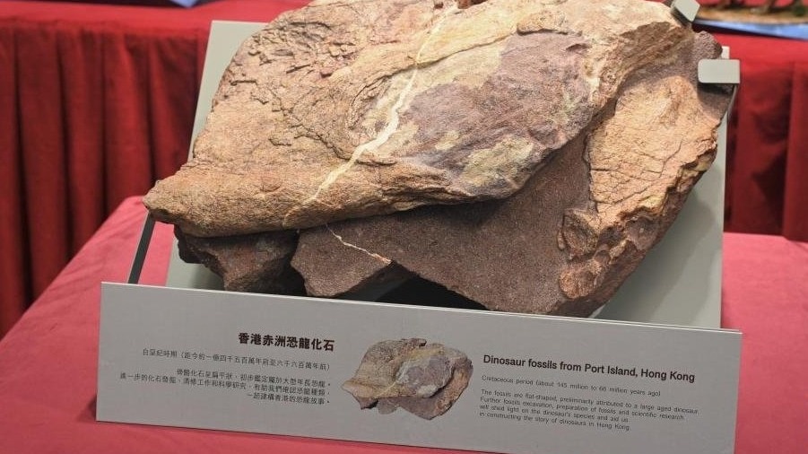 What was a Dinosaur doing in Hong Kong? Residents stunned by display of first-ever fossil discovered in China What was a Dinosaur doing in Hong Kong? Residents stunned by display of first-ever fossil discovered in China