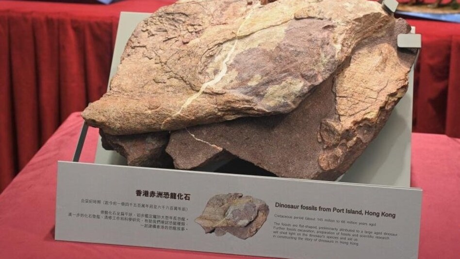 What was a Dinosaur doing in Hong Kong? Residents stunned by display of first-ever fossil discovered in China What was a Dinosaur doing in Hong Kong? Residents stunned by display of first-ever fossil discovered in China