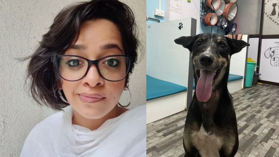 A significant number of netizens, particularly those who celebrate Diwali, took offense to the post, accusing the woman of being intolerant and disrespectful of their traditions. A significant number of netizens, particularly those who celebrate Diwali, took offense to the post, accusing the woman of being intolerant and disrespectful of their traditions.