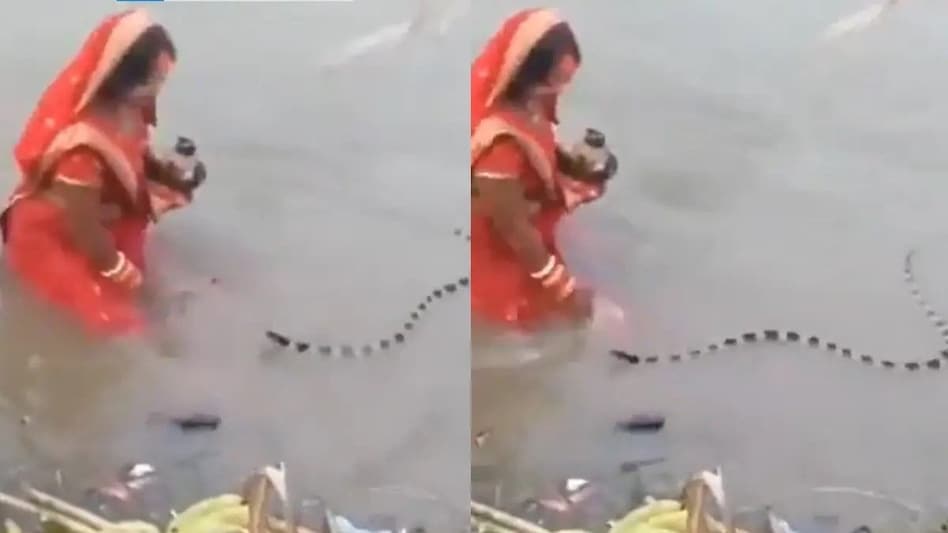 The video, captured during the Chhath Puja rituals, shows the woman standing in the river, offering prayers to the Sun God. The video, captured during the Chhath Puja rituals, shows the woman standing in the river, offering prayers to the Sun God.