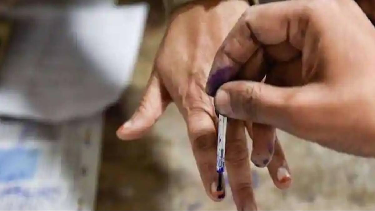 Jharkhand Assembly Elections Phase 1 voting: How to search your name in electoral roll