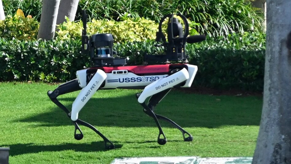 Meet the robot dogs guarding Donald Trump after US elections win at Mar-a-Lago; see video Meet the robot dogs guarding Donald Trump after US elections win at Mar-a-Lago; see video