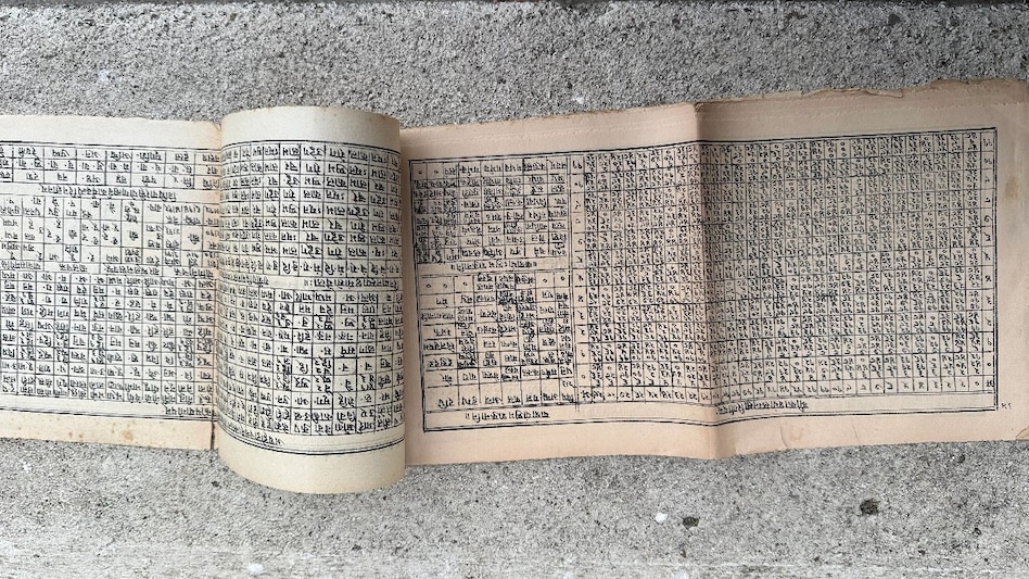 (Reddit: /AcceptableTea8746) (Reddit: /AcceptableTea8746)