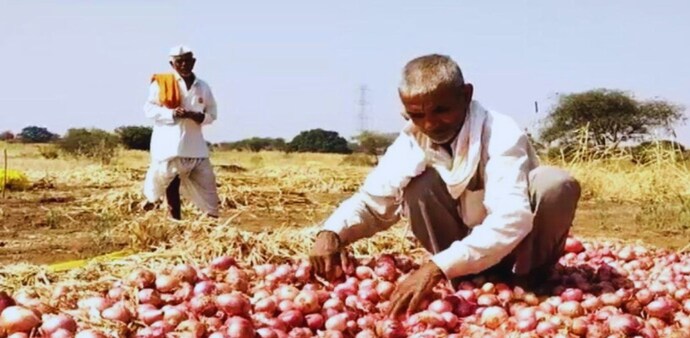 The opposition Maha Vikas Aghadi (MVA) has seized the opportunity to criticise the Mahayuti government, particularly over the low prices for soybean, which affect more farmers than onions. The opposition Maha Vikas Aghadi (MVA) has seized the opportunity to criticise the Mahayuti government, particularly over the low prices for soybean, which affect more farmers than onions.