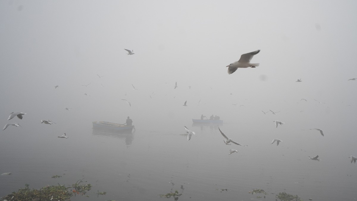 Delhi air pollution: AQI in severe category at 420; GRAP-3 measures implemented Delhi air pollution: AQI in severe category at 420; GRAP-3 measures implemented