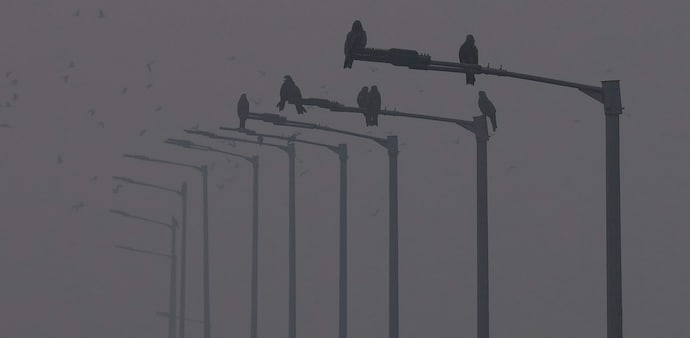Thick veil of smog engulfs Delhi, airport puts up low visibility procedures Thick veil of smog engulfs Delhi, airport puts up low visibility procedures