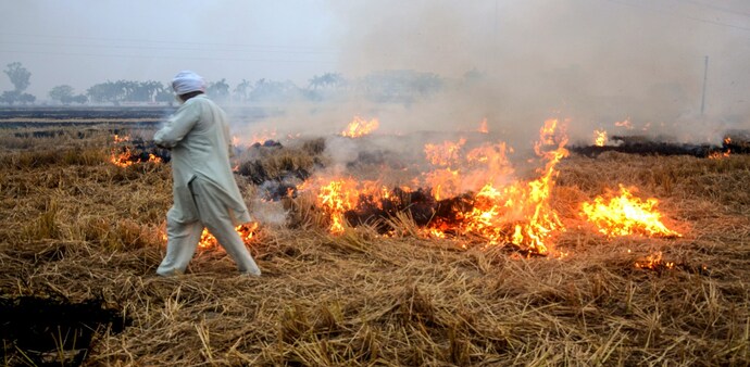 CREA report states that thermal power plants emit more pollutants than stubble burning CREA report states that thermal power plants emit more pollutants than stubble burning