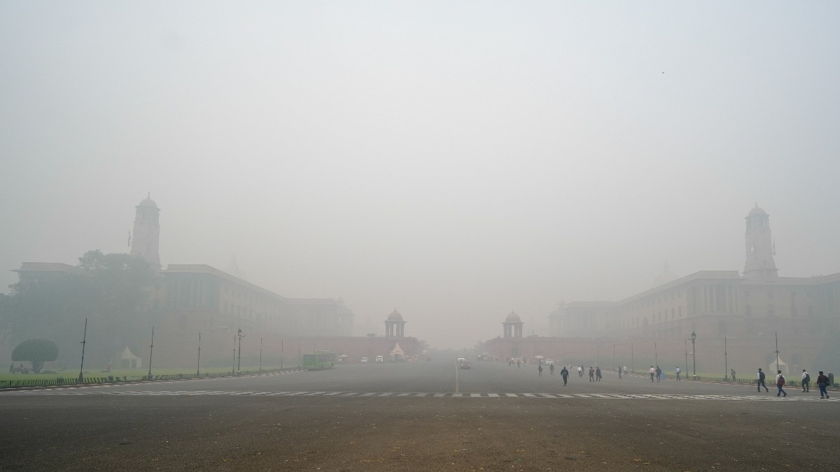 Fog alert! IMD predicts foggy days in Northwest India, Delhi for the next five days