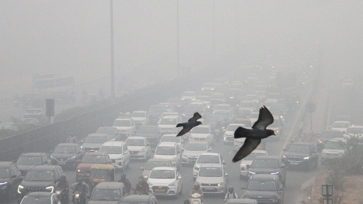 Delhi air pollution: AQI of 500 recorded at many stations on Tuesday Delhi air pollution: AQI of 500 recorded at many stations on Tuesday