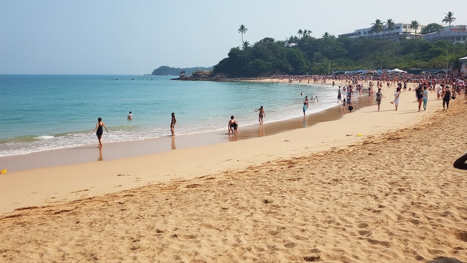 Goa is the top destination capturing global travellers' interest Goa is the top destination capturing global travellers' interest