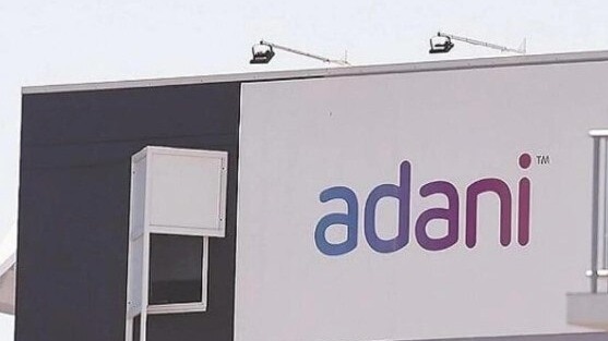 Adani Enterprises shares in fact tumbled 22.61 per cent to Rs 2,182.55. LIC's stake in the Adani flagship stood at 4.07 per cent. Adani Green Energy and Adani Ports fell 18.80 per cent and 13.53 per cent, respectively. Adani Enterprises shares in fact tumbled 22.61 per cent to Rs 2,182.55. LIC's stake in the Adani flagship stood at 4.07 per cent. Adani Green Energy and Adani Ports fell 18.80 per cent and 13.53 per cent, respectively.