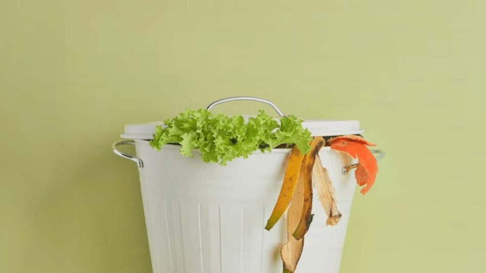 Economic growth has slowed significantly. GDP growth in the September quarter is estimated at 6.5%, the weakest in six quarters, below the RBI's projection of 7%. Economic growth has slowed significantly. GDP growth in the September quarter is estimated at 6.5%, the weakest in six quarters, below the RBI's projection of 7%.