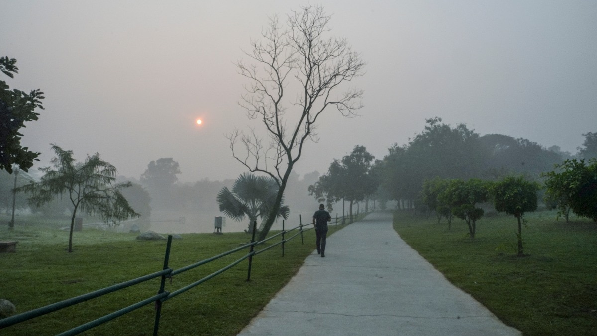 Global North vs Global South: Climate divide in urban green spaces makes cities urban heat sinks, finds NASA study