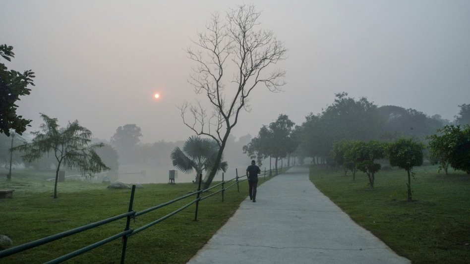 Cities in the Global South generally have less green space than those in the Global North. Cities in the Global South generally have less green space than those in the Global North.
