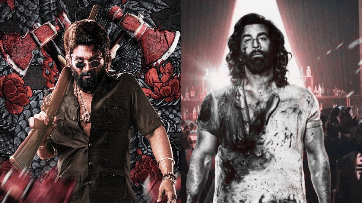 Box Office Update: Pushpa rules in style! Trounces Animal at ticket counters Box Office Update: Pushpa rules in style! Trounces Animal at ticket counters