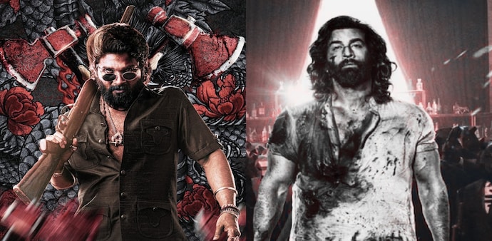 Box Office Update: Pushpa rules in style! Trounces Animal at ticket counters Box Office Update: Pushpa rules in style! Trounces Animal at ticket counters