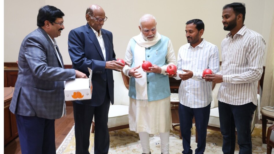 Accompanied by farmers from Phaltan in western Maharashtra, Pawar presented pomegranates to PM Modi. Accompanied by farmers from Phaltan in western Maharashtra, Pawar presented pomegranates to PM Modi.