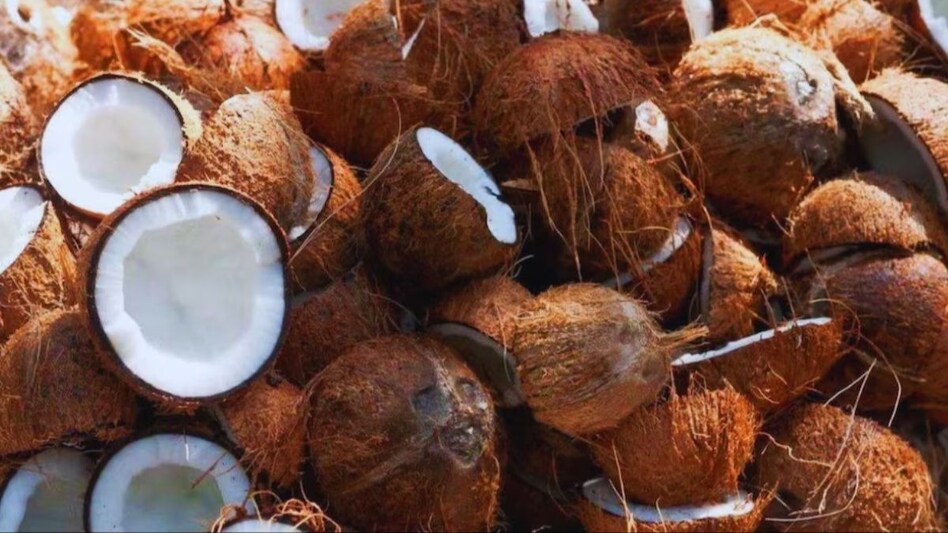 Karnataka is the largest producer of copra, accounting for 32.7% of the country’s total production, followed by Tamil Nadu (25.7%), Kerala (25.4%), and Andhra Pradesh (7.7%). Karnataka is the largest producer of copra, accounting for 32.7% of the country’s total production, followed by Tamil Nadu (25.7%), Kerala (25.4%), and Andhra Pradesh (7.7%).