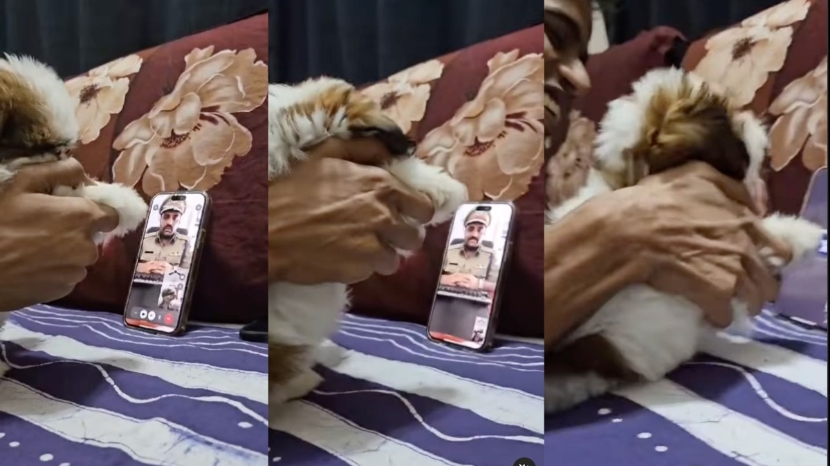 'Uno reverse': Man pranks the fake police scammer 'Uno reverse': Man pranks the fake police scammer