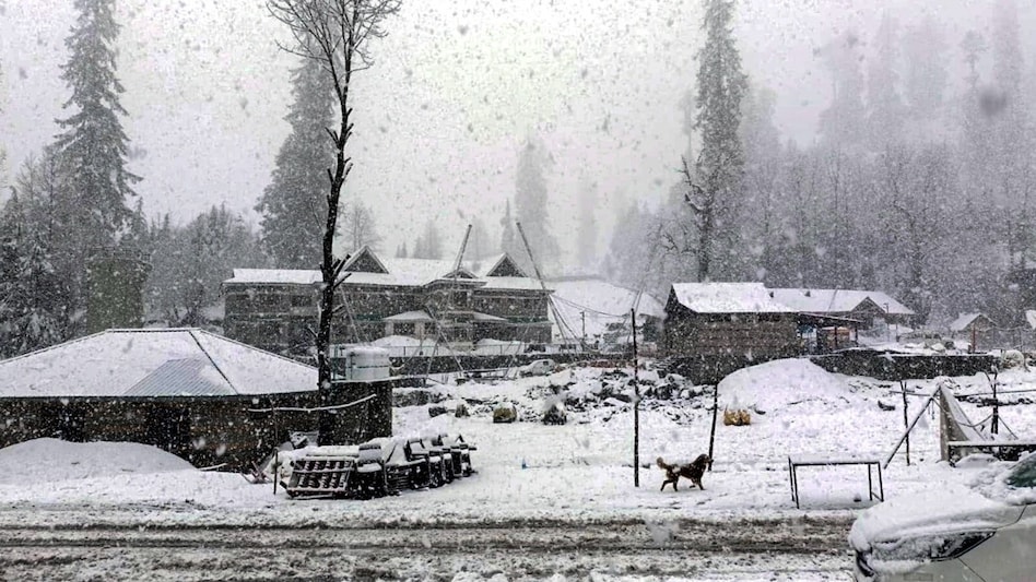 Manali: Fresh snowfall seen in Solang Nala area near Manali on Friday, December 27, 2024. (PTI Photo) Manali: Fresh snowfall seen in Solang Nala area near Manali on Friday, December 27, 2024. (PTI Photo)
