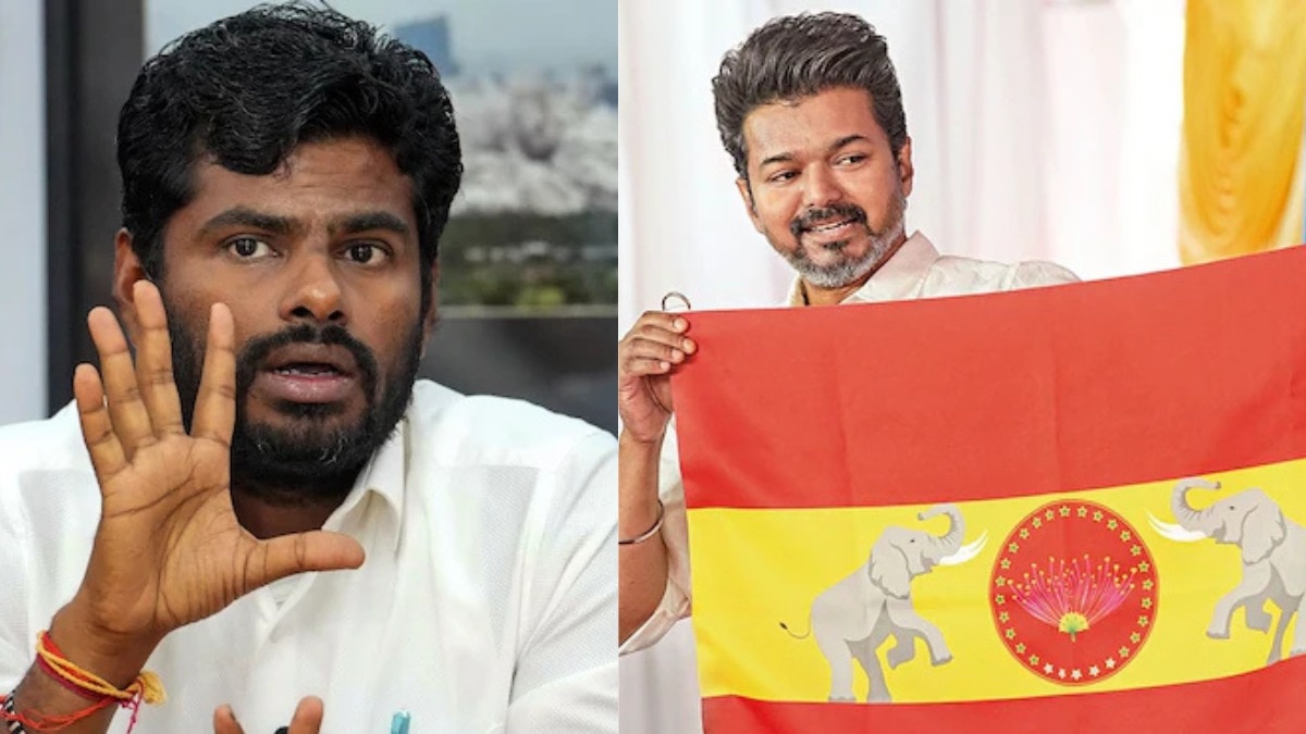 Annamalai's claim on DMK being jittery of Vijay's arrival in Tamil Nadu's political scenario is not unfounded. Annamalai's claim on DMK being jittery of Vijay's arrival in Tamil Nadu's political scenario is not unfounded.