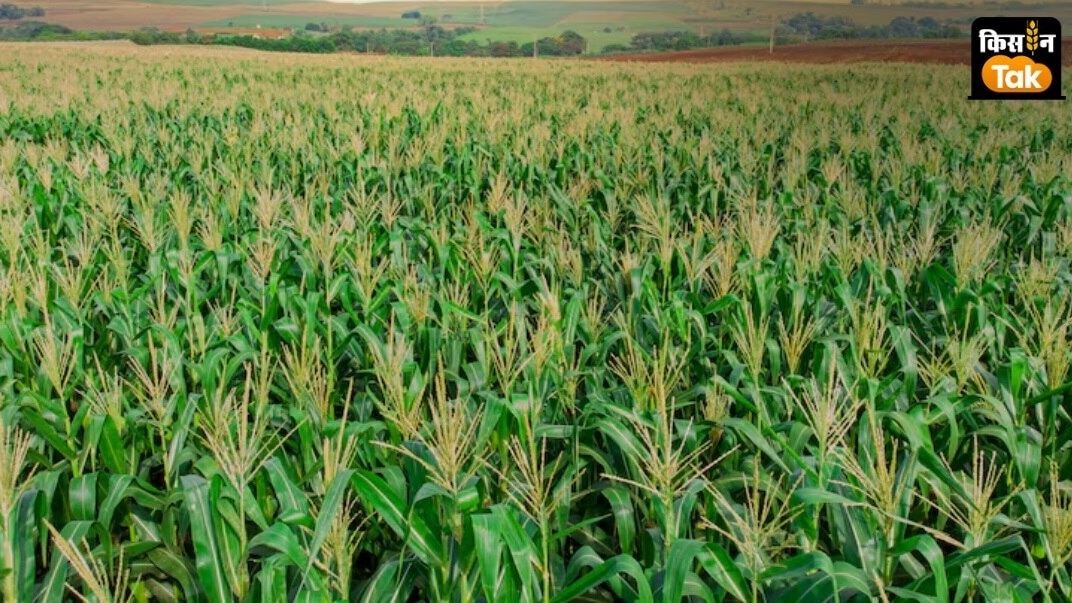 The creation of the Fund for Innovation and Technology (FIAT) has also approved with a corpus of Rs. 824.77 Crore The creation of the Fund for Innovation and Technology (FIAT) has also approved with a corpus of Rs. 824.77 Crore