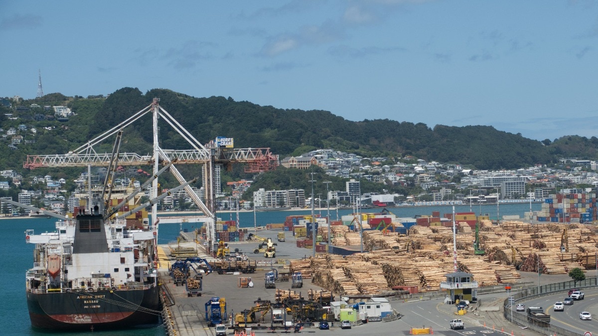 New Zealand eases visa rules, opens doors for Indian workers amid labour crunch New Zealand eases visa rules, opens doors for Indian workers amid labour crunch