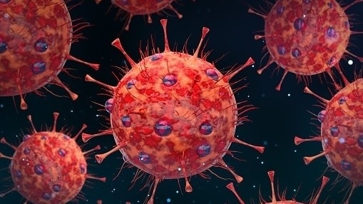 Two cases of HMPV have been reported in Tamil Nadu Two cases of HMPV have been reported in Tamil Nadu