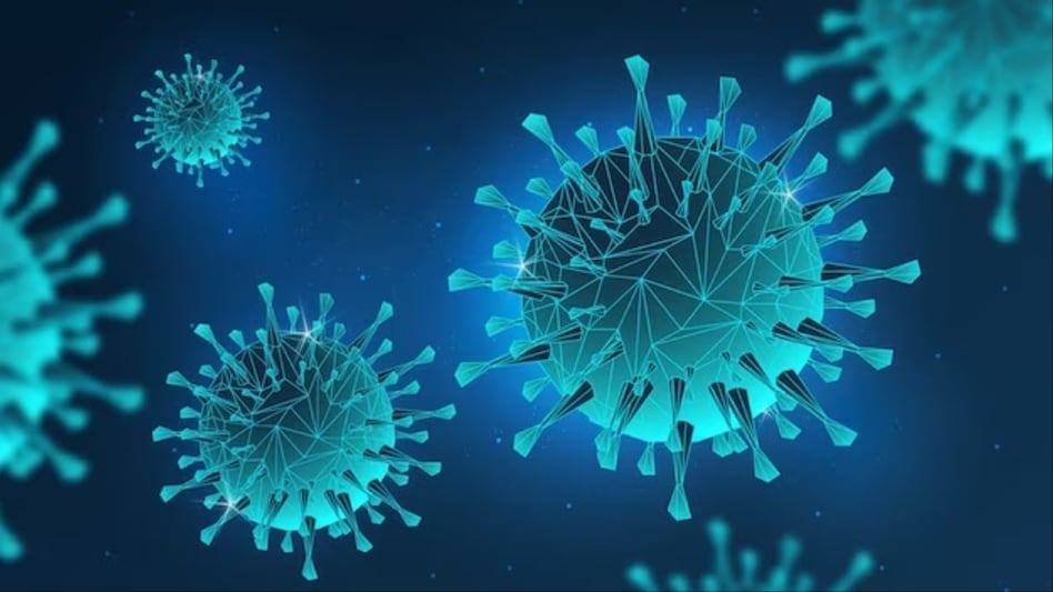 Testing for HMPV typically requires advanced methods such as the BioFire panel, which has the capability to identify multiple pathogens, including HMPV, through a single test. Testing for HMPV typically requires advanced methods such as the BioFire panel, which has the capability to identify multiple pathogens, including HMPV, through a single test.
