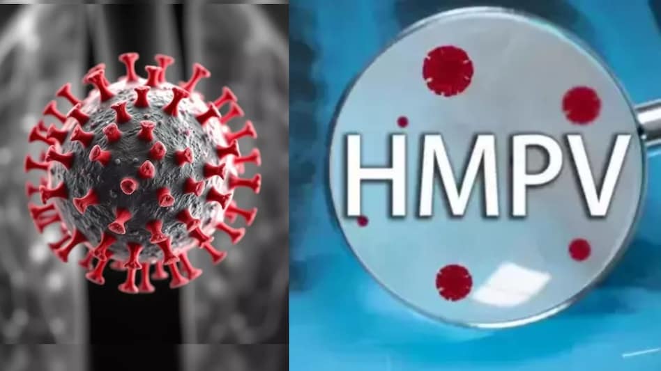 Earlier, two cases were detected in Maharashtra's Nagpur, involving a seven-year-old and 13-year-old. Earlier, two cases were detected in Maharashtra's Nagpur, involving a seven-year-old and 13-year-old.
