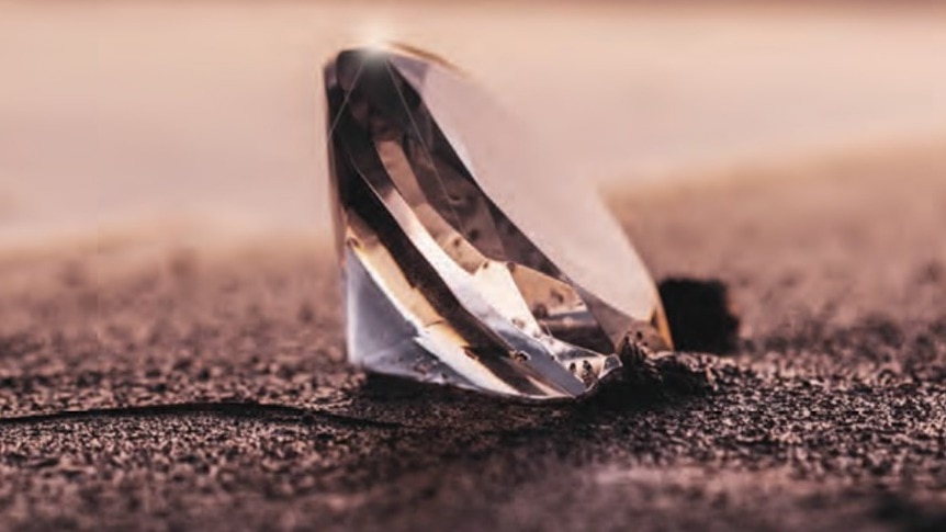 Rajnish Retail Bags Historic Diamond Export Deal with De Beers and Signet Jewelers