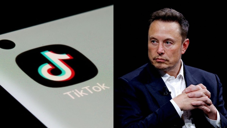 Will Elon Musk take over TikTok in US Will Elon Musk take over TikTok in US
