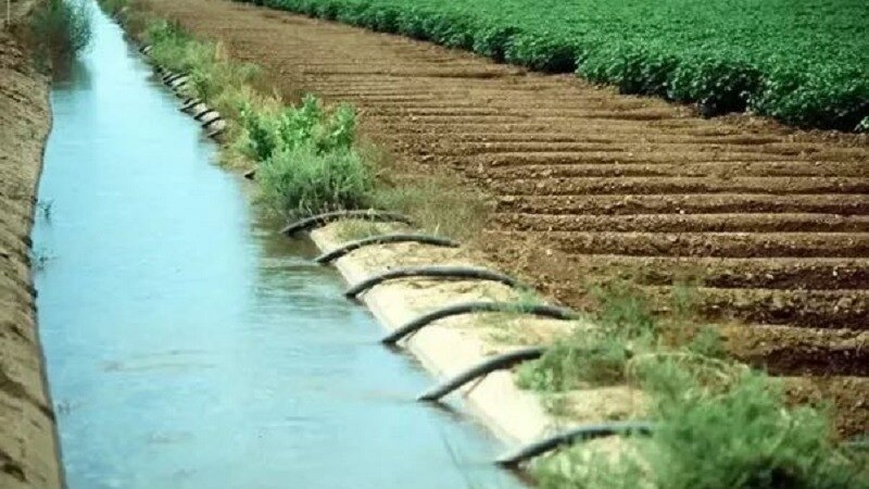 Many of these changes are driven by human activities like agriculture and could affect ecosystems and water management, particularly in certain regions. Many of these changes are driven by human activities like agriculture and could affect ecosystems and water management, particularly in certain regions.