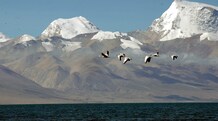 India, China decide to resume Kailash Mansarovar Yatra, direct flights in 2025 India and China have agreed to resume the Kailash Mansarovar Yatra in 2025.