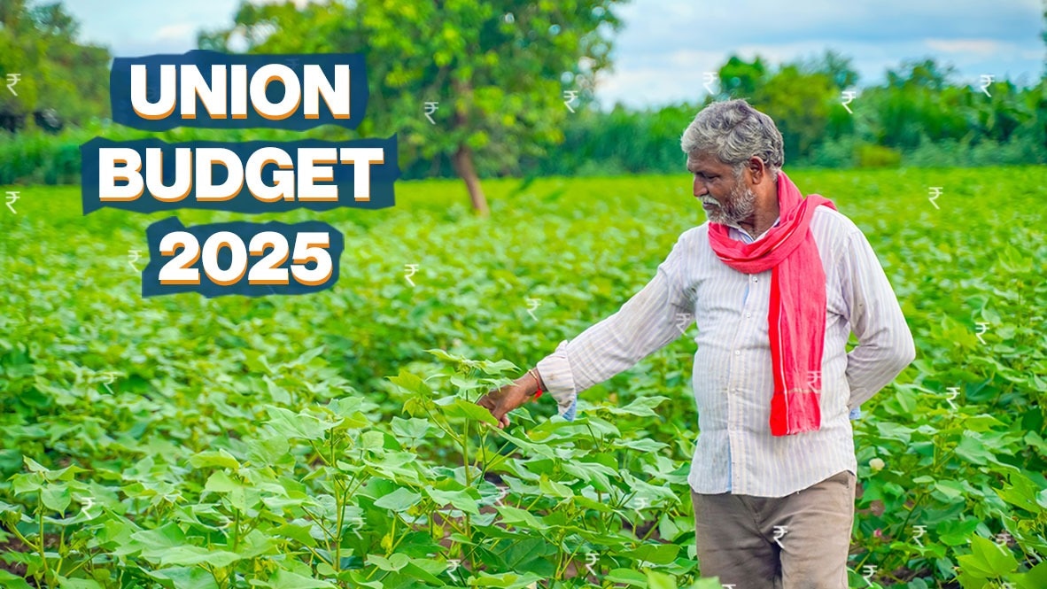 FM Nirmala Sitharaman said the theme of Budget 2025 is focus on farmers, youth, farmers and women (GYAN). FM Nirmala Sitharaman said the theme of Budget 2025 is focus on farmers, youth, farmers and women (GYAN).