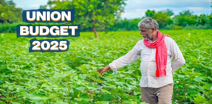 FM Nirmala Sitharaman said the theme of Budget 2025 is focus on farmers, youth, farmers and women (GYAN). FM Nirmala Sitharaman said the theme of Budget 2025 is focus on farmers, youth, farmers and women (GYAN).