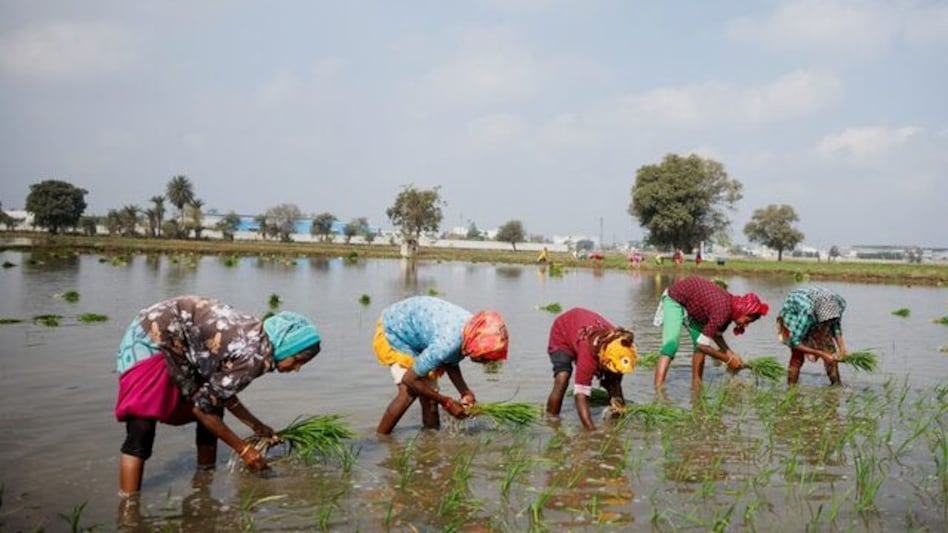PM Kisan scheme 19th instalment to be issued today; check details PM Kisan scheme 19th instalment to be issued today; check details