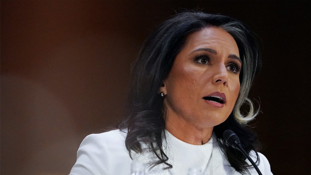 Tulsi Gabbard says memo sent to those involved in these chat rooms Tulsi Gabbard says memo sent to those involved in these chat rooms