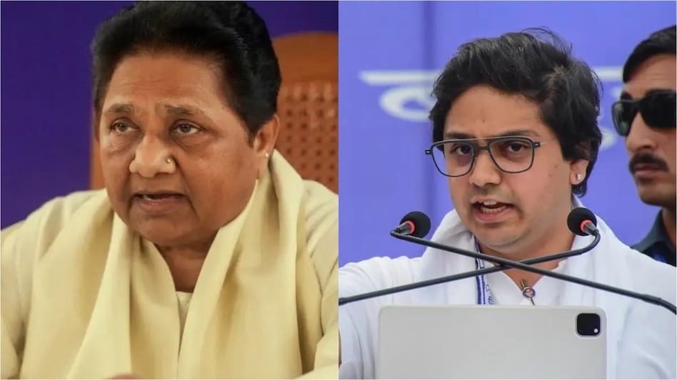 BSP has removed Akash Anand from all party posts BSP has removed Akash Anand from all party posts