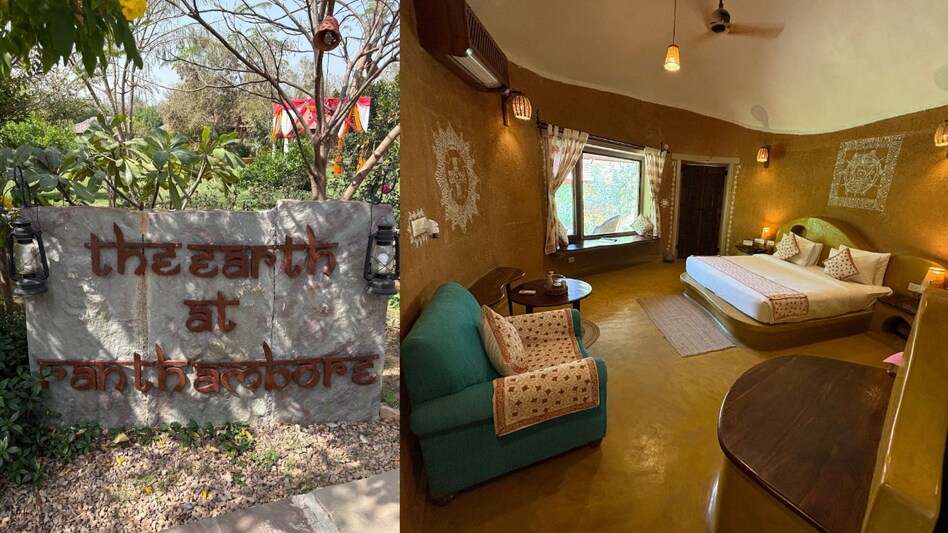 The Earth at Ranthambore The Earth at Ranthambore