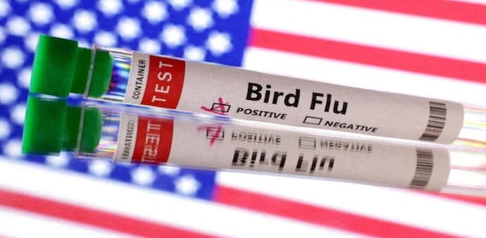 While antiviral drugs like Tamiflu can be effective, resistance can develop quickly. While antiviral drugs like Tamiflu can be effective, resistance can develop quickly.